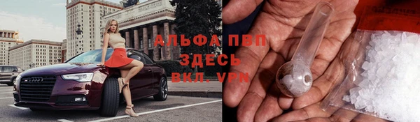 ешки Алзамай