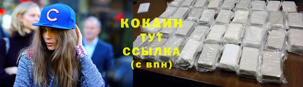 шишки Абинск